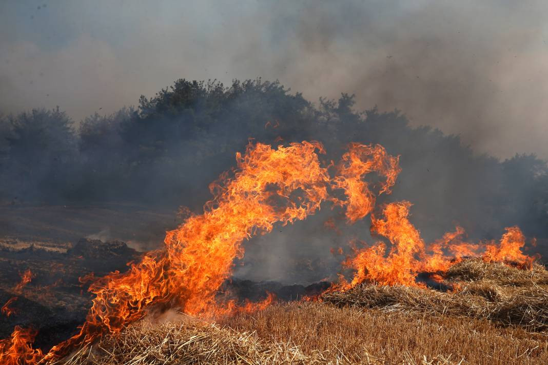 Çanakkale'deki Tarihi Alan'ın güney hattı ziyarete açıldı! Orman yangınında kapatılmıştı - Resim: 66